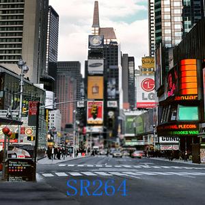 10'x10' SR264
